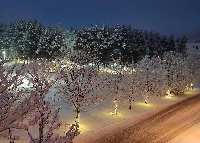 公寓 Luka 库普雷斯